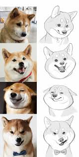 How To Draw Doge Doge Cartoon Drawings Dog Art Animal Drawings