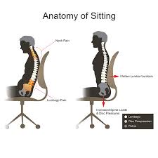 Because they sit in their chair for 5/6 hours or more, if the chair sitting for long periods is harmful, indeed. Sciatica Stock Illustrations Cliparts And Royalty Free Sciatica Vectors