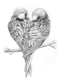 How To Draw A Bird Step By Step Easy With Pictures Love Birds Drawing Bird Sketch Bird Drawings