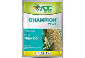 Champion 77 WP
