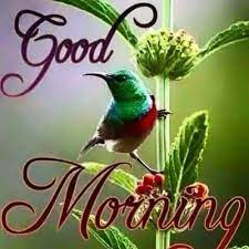 Good Morning Good Morning Good Morning Quotes Good Morning Sayings Good Morning Image Quotes Good Morning Images Latest Good Morning Latest Good Morning Images