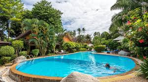 السفر إلى بالاو 2026: دليل كورور لمحبي الغوص