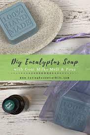 Diy Eucalyptus Soap Recipe Essential Oil Melt And Pour Recipe Diy Eucalyptus Soap Soap Recipes Handmade Soap Recipes