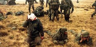 pin en malvinas