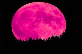 القمر العملاق واصطفاف الكواكب في التاسع من مارس/آذار نلتقي بما يسمى القمر العملاق supermoon، وهي ظاهرة تحدث حينما يكون القمر في أقرب موضع له من الأرض، وفي الوقت نفسه يكون في طور البدر، يظهر القمر أقرب للأرض وأكثر لمعانا ومساحة. Ù…Ø§ Ù‡ÙŠ Ø¸Ø§Ù‡Ø±Ø© Ø§Ù„Ù‚Ù…Ø± Ø§Ù„ÙˆØ±Ø¯ÙŠ Ø£ÙØ¶Ù„ Ø§Ø¬Ø§Ø¨Ø©