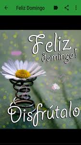 See more ideas about feliz, domingo, spanish greetings. Imagenes De Feliz Domingo For Android Apk Download