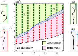 Phase Chart Highlighting The Various Dynamical Transitions