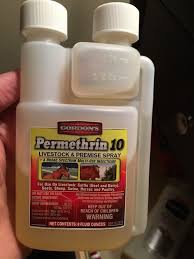Is There A Spray That Can Kill Bedbugs I Heard That Raid Is A Bad Idea Why Quora