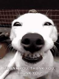 The best memes from instagram, facebook, vine, and twitter about thank you gif. Thank You Gifs Tenor