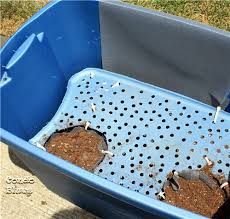 Plastic corp.® carries a wide variety of colorful totes, tubs and pans for a variety of applications in warehouses, kitchens and more. How To Make A Self Watering Planter From A Plastic Storage Tub Self Watering Planter Plastic Storage Tubs Diy Self Watering Planter