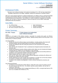 Junior Software Developer Cv Example + Guide [Get Hired]