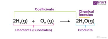 What Are Chemical Equations Detailed Explanation Examples