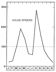White tail spider bite is one of the most threatened spider bites. Spiders In Denmark Are They Dangerous