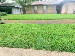 Создано в google моих картах. Spencer S Lawn Care Service Home Facebook