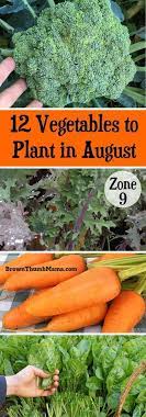 I have a list of vegetables, listed by zones, that can be planted this month. 11 Vegetables To Plant In August Zone 9 Fall Garden Vegetables Fall Vegetables Planting Vegetables