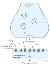 Pharmawiki Betablocker