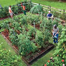 When to plant a vegetable garden last updated: Planting A Vegetable Garden A Monthly Guide Myrecipes
