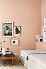 Coral dianggap warna cat rumah minimalis yang paling sesuai untuk ruang keluarga| credit: 10 Warna Cat Rumah Minimalis Yang Bagus Di 2020
