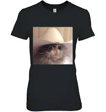 Take me home country ro know your meme. Sad Cat Cowboy Hat Meme Funny Internet Viral Joke Pun Gift
