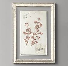 Pressed Botanical Art Pressed Botanicals Pressed Botanical Art Botanical Art