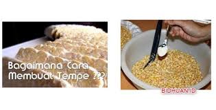 59 hours bahan / bumbu : Tempe Cara Membuat Tempe Homemade Lebih Sedap Dan Mantap Berbagi Cerita Opini Edukasi Dan Hiburan