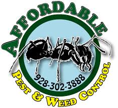 3746 mission dr s, lake havasu city, az 86406, usa. Affordable Pest Weed Control