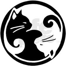 Yin Yang Cats Pint Glass By Informdesign Hayvan Kedi