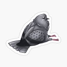 For those of you with faces that are fuller and on the rounder side, you should pick a cowboy hat that has a low height crown. Sitting Pigeon Gifts Merchandise Redbubble