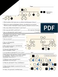 Pedigree worksheet key i 1 2 ii 1 2 4 5 3 6 7 8 iii 1 2 3 4 5 1. Pedigree Chart Worksheet Zygosity Dominance Genetics