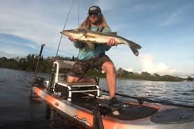 They are excellent eating, sometimes difficult to catch, and they put up a good. Pro Tips On How To Catch Snook Kayak Angler