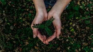 The 2021 world environment day is hosted by pakistan on the theme of ecosystem restoration under the campaign reimagine. M35buhfbdsvdlm