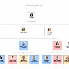 Examples Of Org Charts Jasonkellyphoto Co
