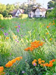 There are several perennial and native seed varieties need to be manually broken from dormancy in order to sprout and thrive in your garden. Gorgeous Garden At A Historic Home Gorgeous Gardens Cottage Garden Design Prairie Garden