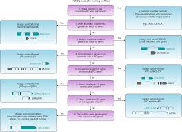 What are the examples of alphanumeric passwords with 6 to 16 characters? Guidelines For Human Gene Nomenclature Nature Genetics