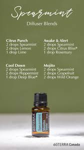 Spearmint Oil Dōterra Essential Oils In 2020 Essential Oil Blends Recipes Spearmint Essential Oil Diffuser Blends