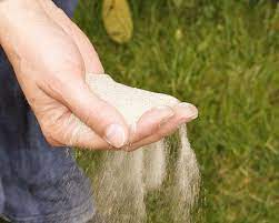 Kalk Kalkdunger Verwendung Und Tipps Mein Schoner Garten