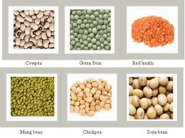 Fruits And Vegetables Vocabulary In English Eslbuzz Learning English Cereals And Pulses Fruits And Vegetables Types Of Fruit