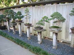 Bonsai At The Huntington Library Botanical Gardens In California Japanesegardendesignstones Bonsai Garden Meditation Garden Garden Center Displays
