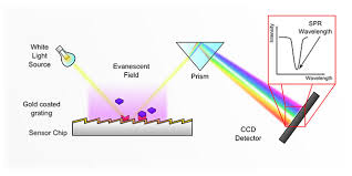 Such resonant behavior gives an advantage in biosensor applications. Xantec Bioanalytics Gmbh Tech Notes Optics