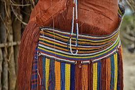 Image result for Selago barabei