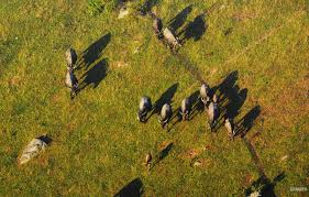 Kết quả hình ảnh cho sao bieenr