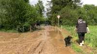Aber auch enorm viel regen sorgte wieder für überflutungen. Nonstopnews Starkregen Losst Schlammlawine Auf Abschussigem Feld Aus Schlammlawine Ergiesst Sich Uber Mehrere Strassen