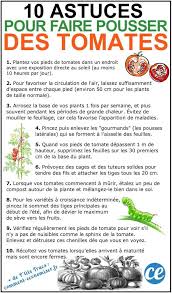 Epingle Sur Garden Plant