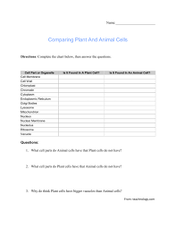 Does animal cells have cell wall. Name Comparing Plant And Animal Cells Directions Complete The