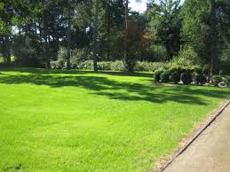 We did not find results for: Willkommen Bei Bestattungen Geismann Ein Zuhause Fur Abschied Und Trauer