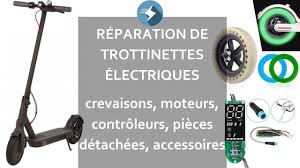 Nous Reparons Vos Trottinettes Electriques Crevees Et Assurons La Pose De Tout Type De Pneu Notamment De Pneus Pl Trottinette Electrique Trottinette Crevaison