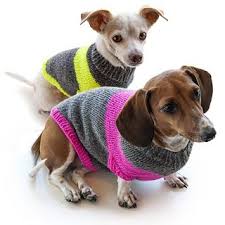 This Adorable Dog Sweater Is A Fun Fast Knit Done In One Piece In The Round Simple Dog Sweater Pattern Knitted Dog Sweater Pattern Knitting Patterns For Dogs
