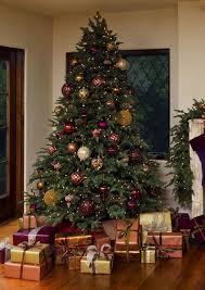 Take a look at some of these wonderful illuminations below! 40 Most Beautiful Christmas Tree Decorating Ideas Best Artificial Christmas Trees Balsam Fir Christmas Tree Fake Christmas Trees