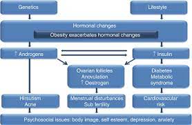 Assessment And Management Of Women With Polycystic Ovary Syndrome Pcos Springerlink