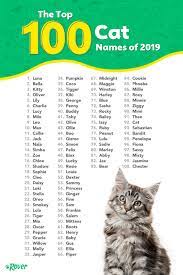 The 100 Most Popular Male And Female Cat Names Of 2020 Rover Com Cat Names Dog Names Cute Cat Names